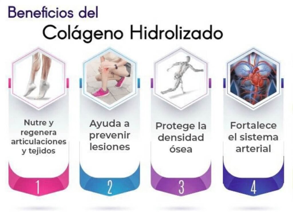 colageno 1
